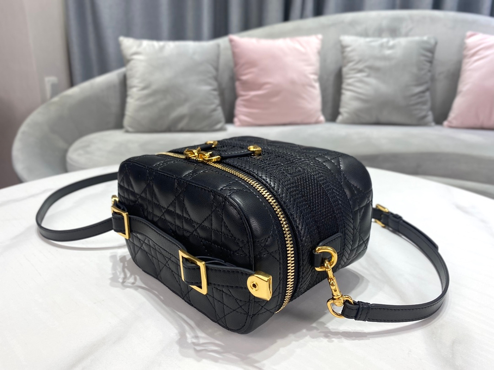 Christian Dior Small DiorTravel Vanity Case
