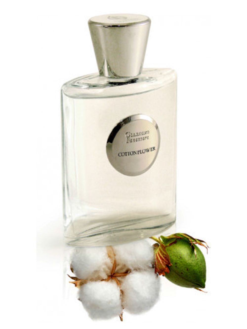 Giardino Benessere Cotton Flower