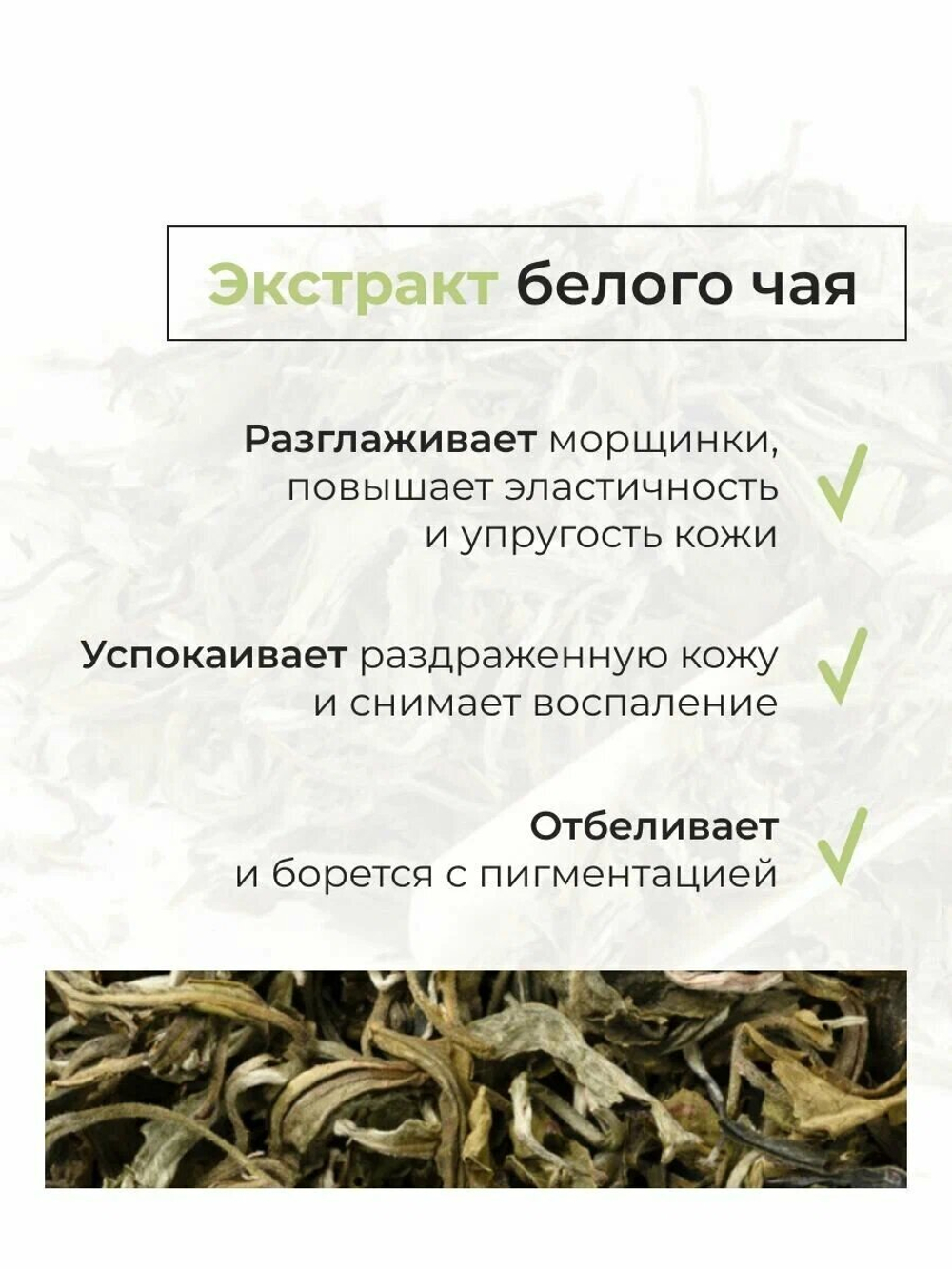The SAEM Пенка для умывания Healing Tea Garden White Tea Cleansing Foam 150мл