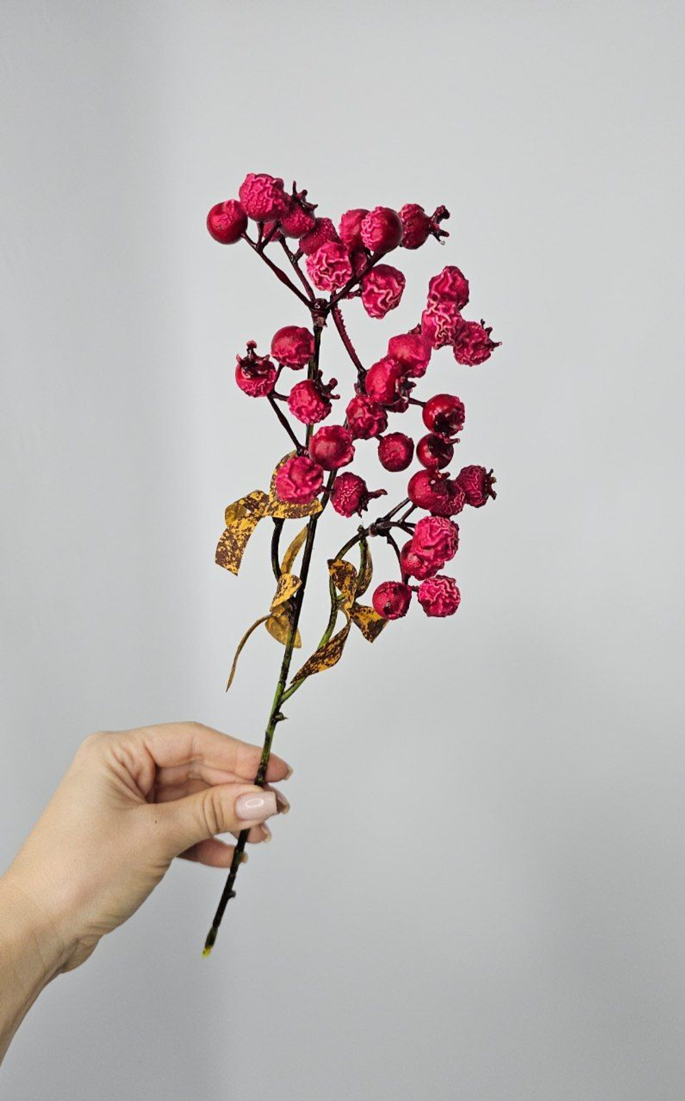 Ягоды / Арт 8053