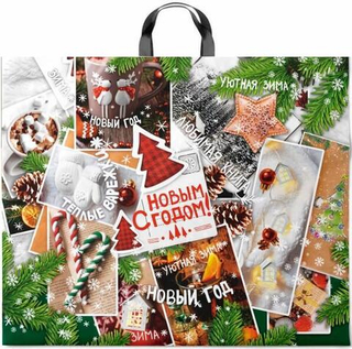 Пакет с петл. ручкой ПВД 60х50 (70 мкм) Время чудес /1шт