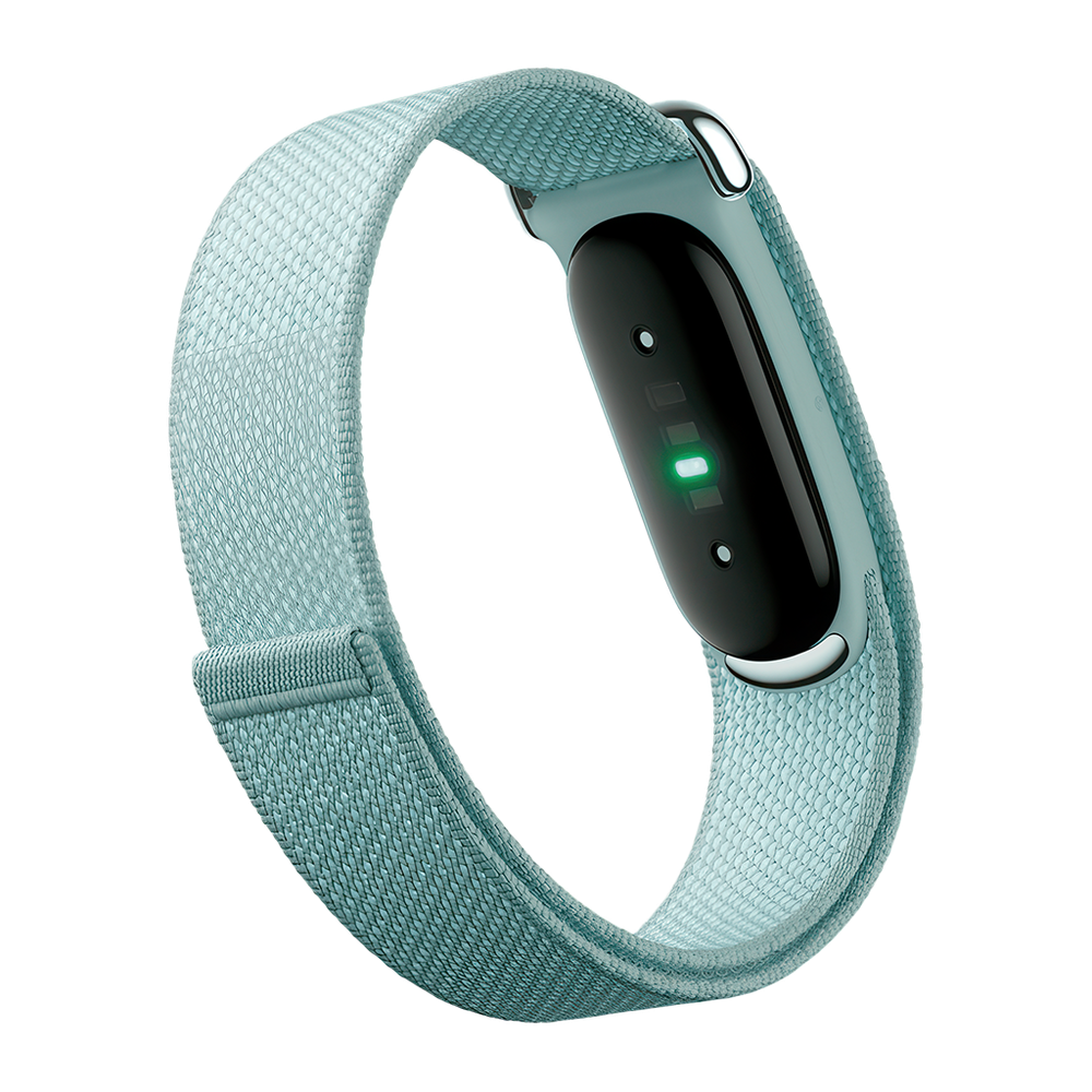 Фитнес-браслет Google Fitbit Air