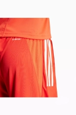 Шорты adidas FC Bayern 23/24 Training