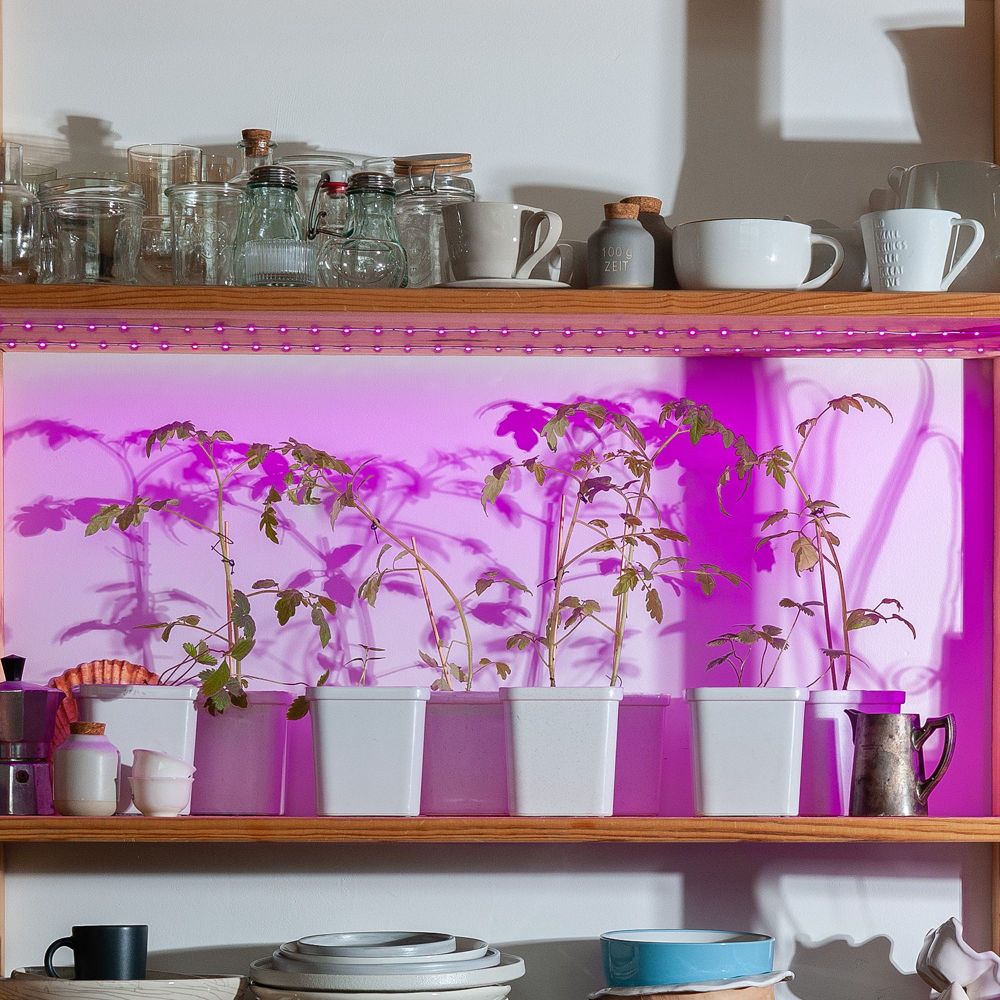 ULS-P76-2835-42LED-m-IP65-2M-SPSB RRP18C00 Комплект светодиодной ленты 2м. Спектр для рассады и цветения. Адаптер 18Вт. Блистер. TM Uniel