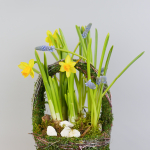 Композиция с первоцветами Лесная корзина S