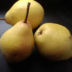 grushi1.jpg grushi1.jpg