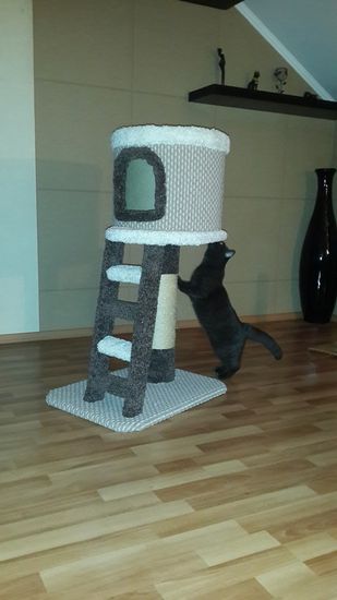 Домик для кошки Н-2