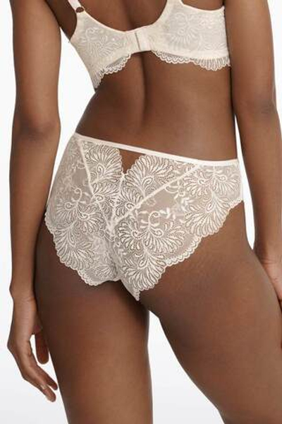 40897 ISLEY/02X Трусы слипы ESOTIQ