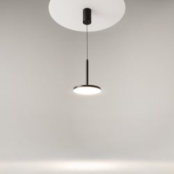 Подвесной светильник Maytoni P076PL-L12W4K-B