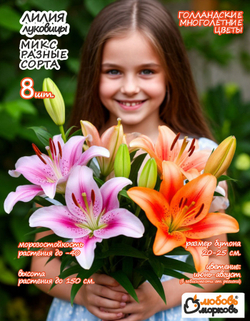 Лилия Луковица, Микс разные, 8 шт