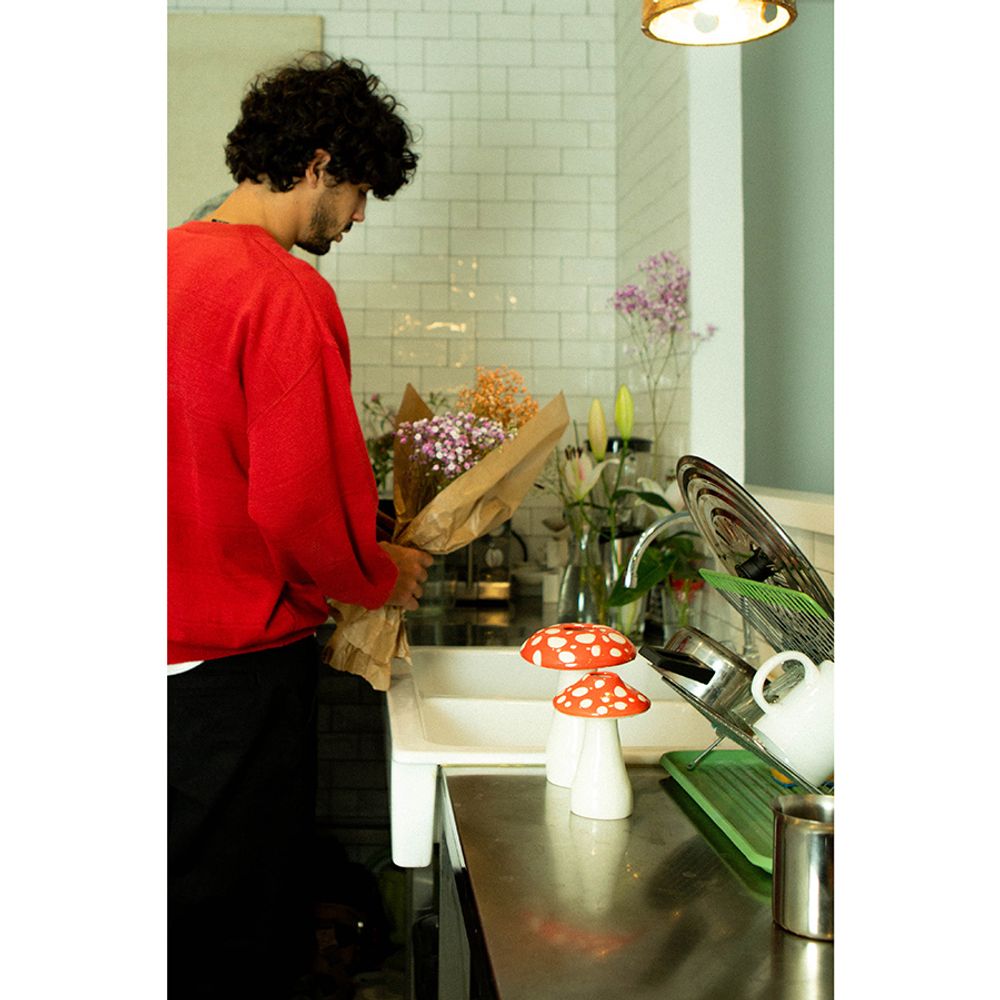 Ваза для цветов Amanita, 19 см