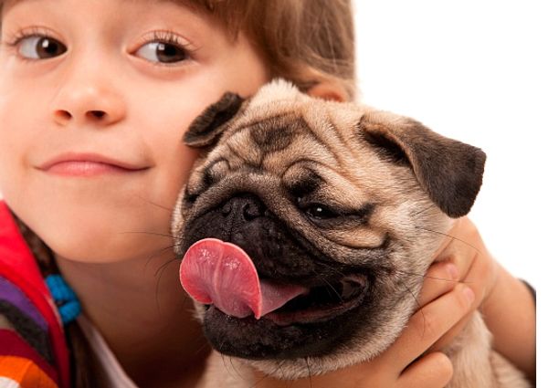 Выбираем любимца для ребенка Выбираем любимца для ребенка