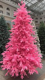 Заснеженная розовая елка «Фэнтези» (Литая хвоя) 120 см / 1,2 м