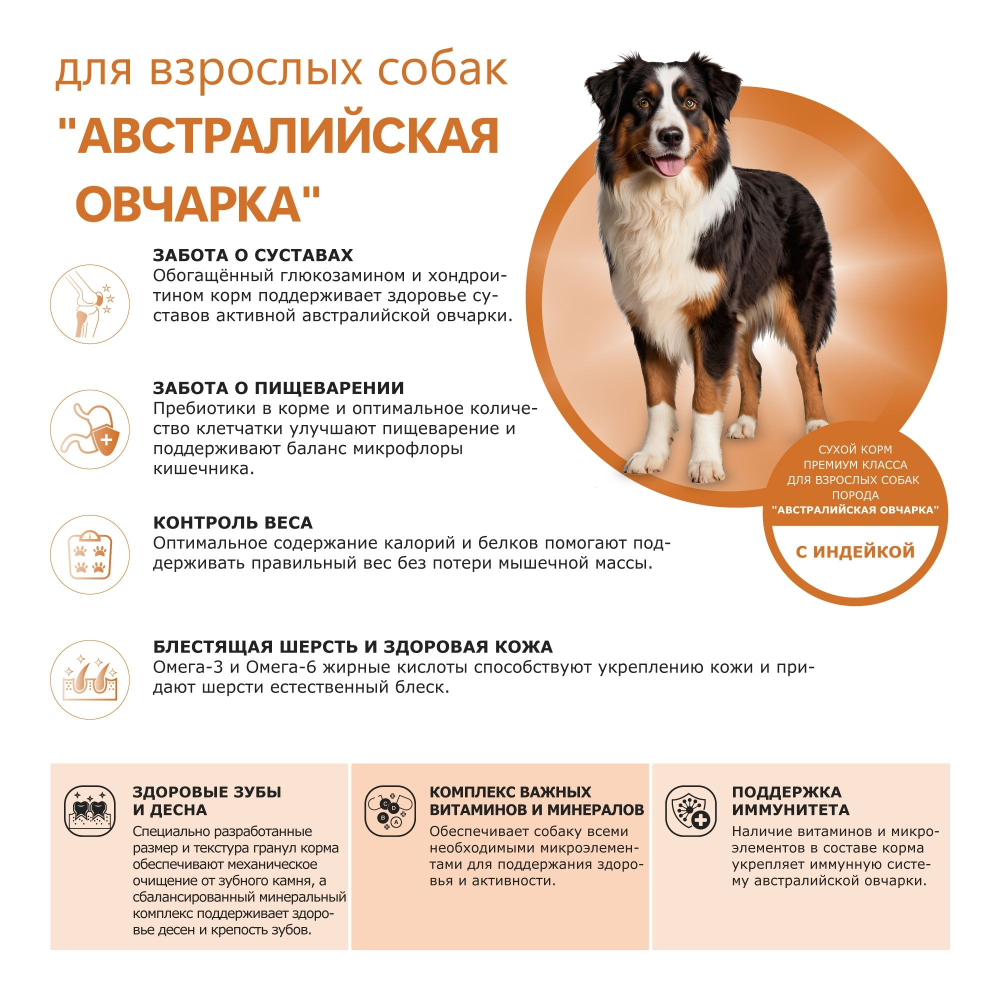 Корм сухой для взрослых собак породы Австралийская овчарка, премиум полнорационный комплекс, с индейкой, 12 кг, QUATTRO