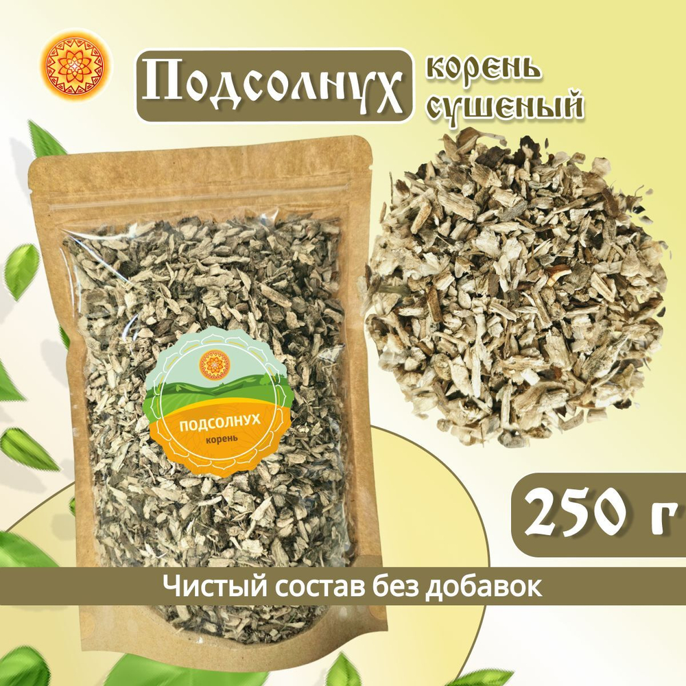 Подсолнух корень.