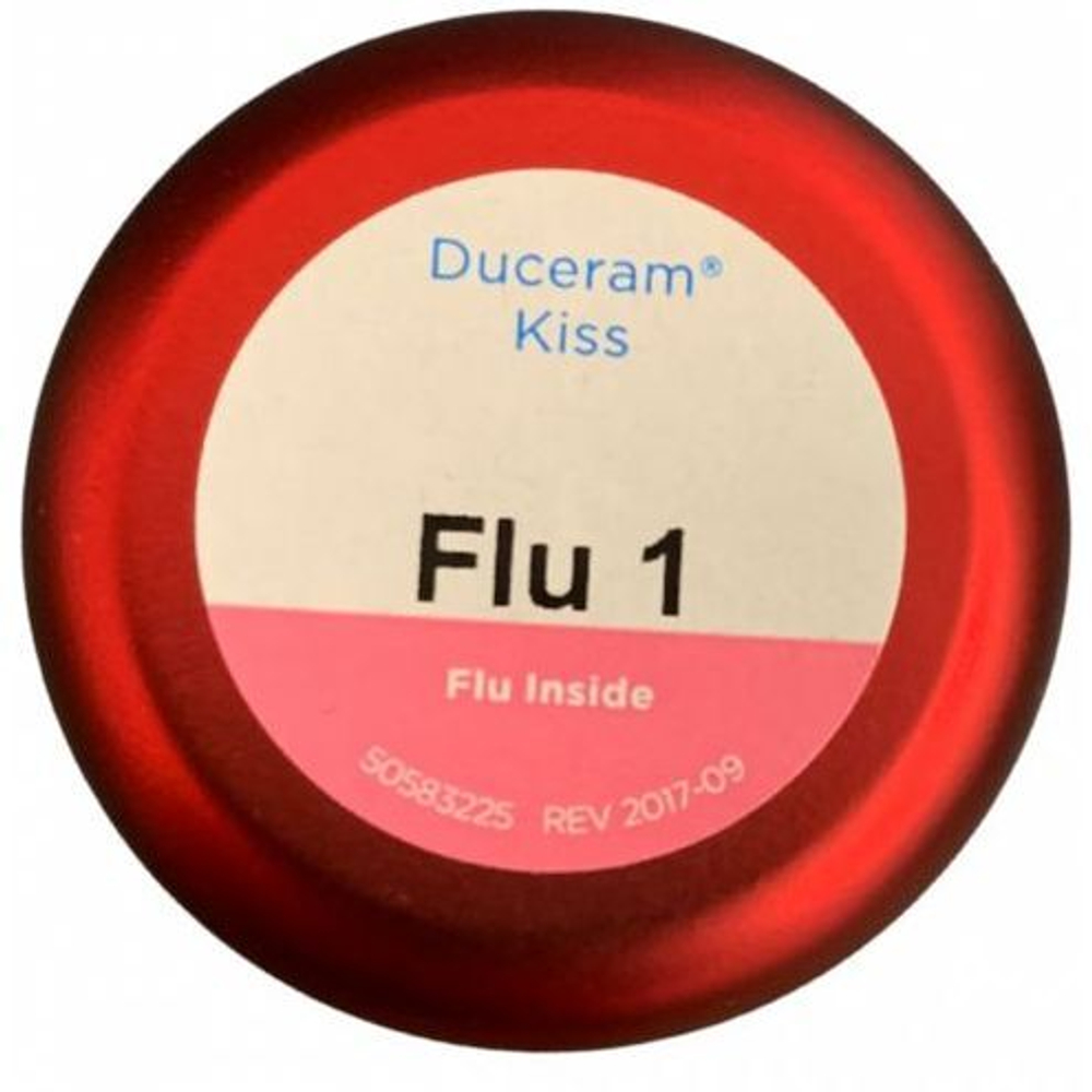 Масса прозрачная (Flu Inside) Duceram Kiss DeguDent 1