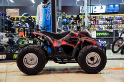 Квадроцикл детский аккумуляторный GreenCamel GOBI K70 (36V 800W дифференциал) (Армейский-красный) с