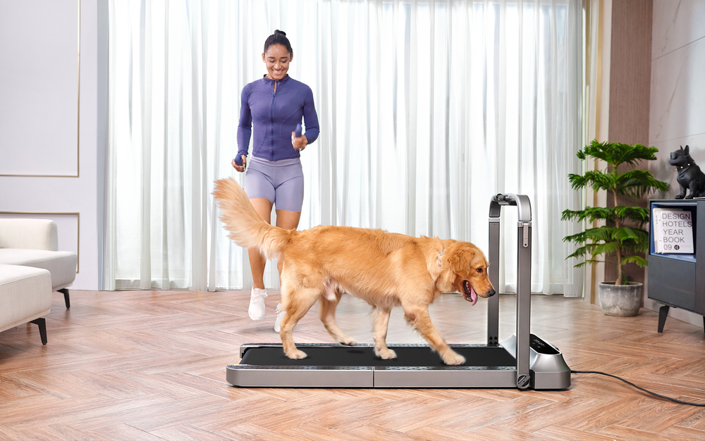 KingSmith WalkingPad R2