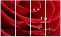 Модульная картина "Розовая вода"