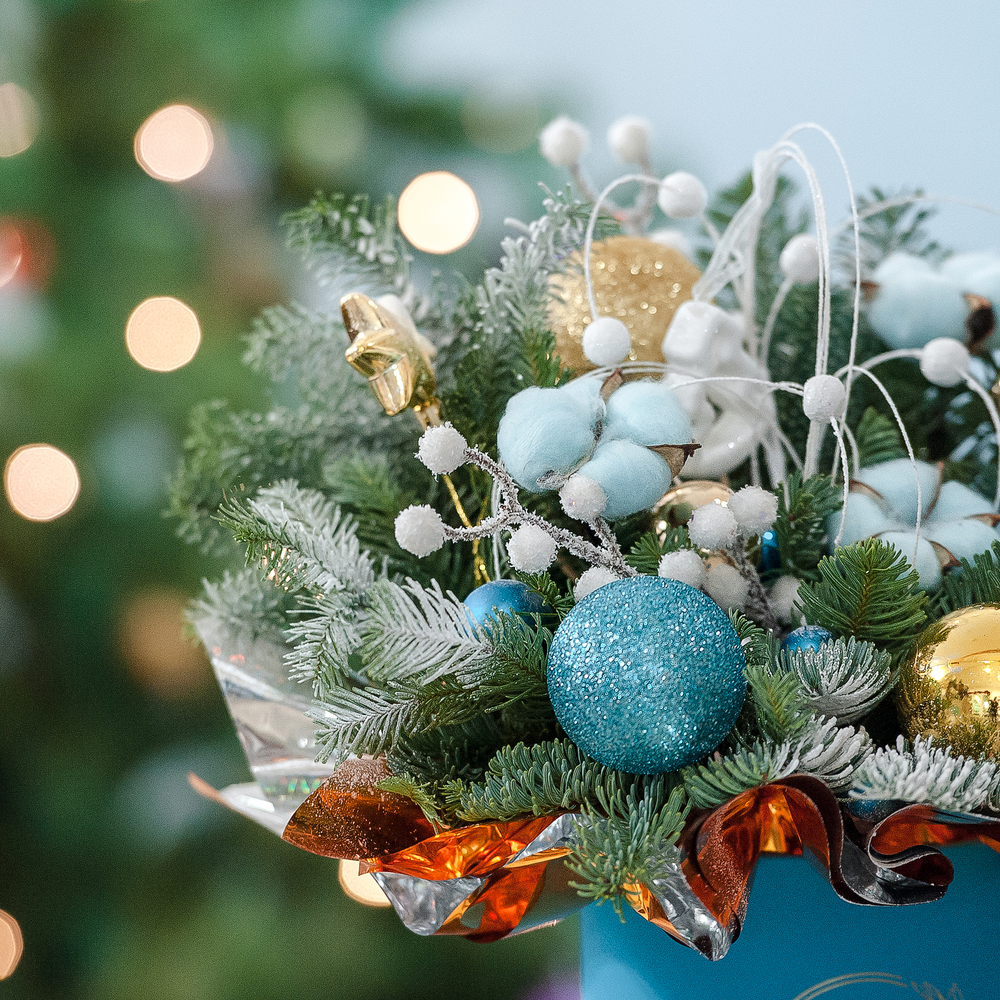 Нобилис в голубом оформлении с золотом