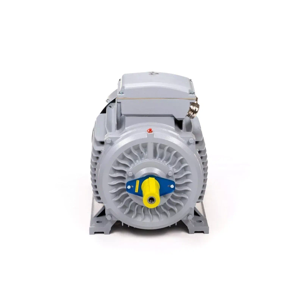 Электродвигатель ESQ PR 355 MВ2-SDN-Б1-S12-IE3 315/3000 IMB3