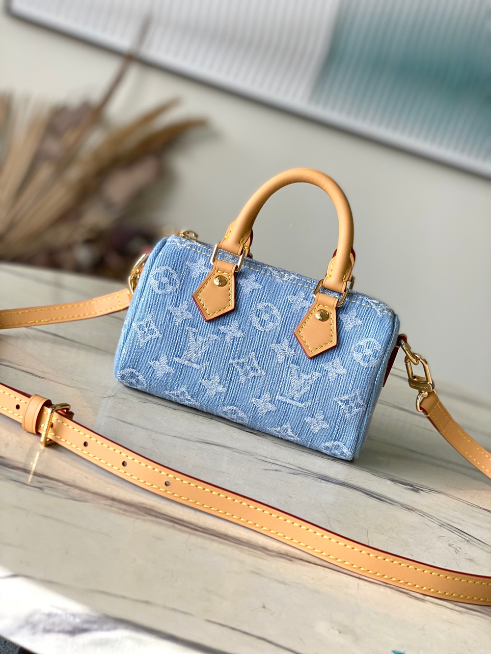 Louis Vuitton Nano Speedy