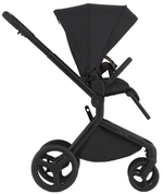 Детская коляска Anex Flo 2 в 1 Lungo