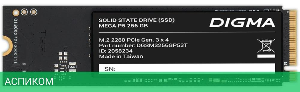 SSD диск Digma Mega P5 256GB (DGSM3256GP53T)
