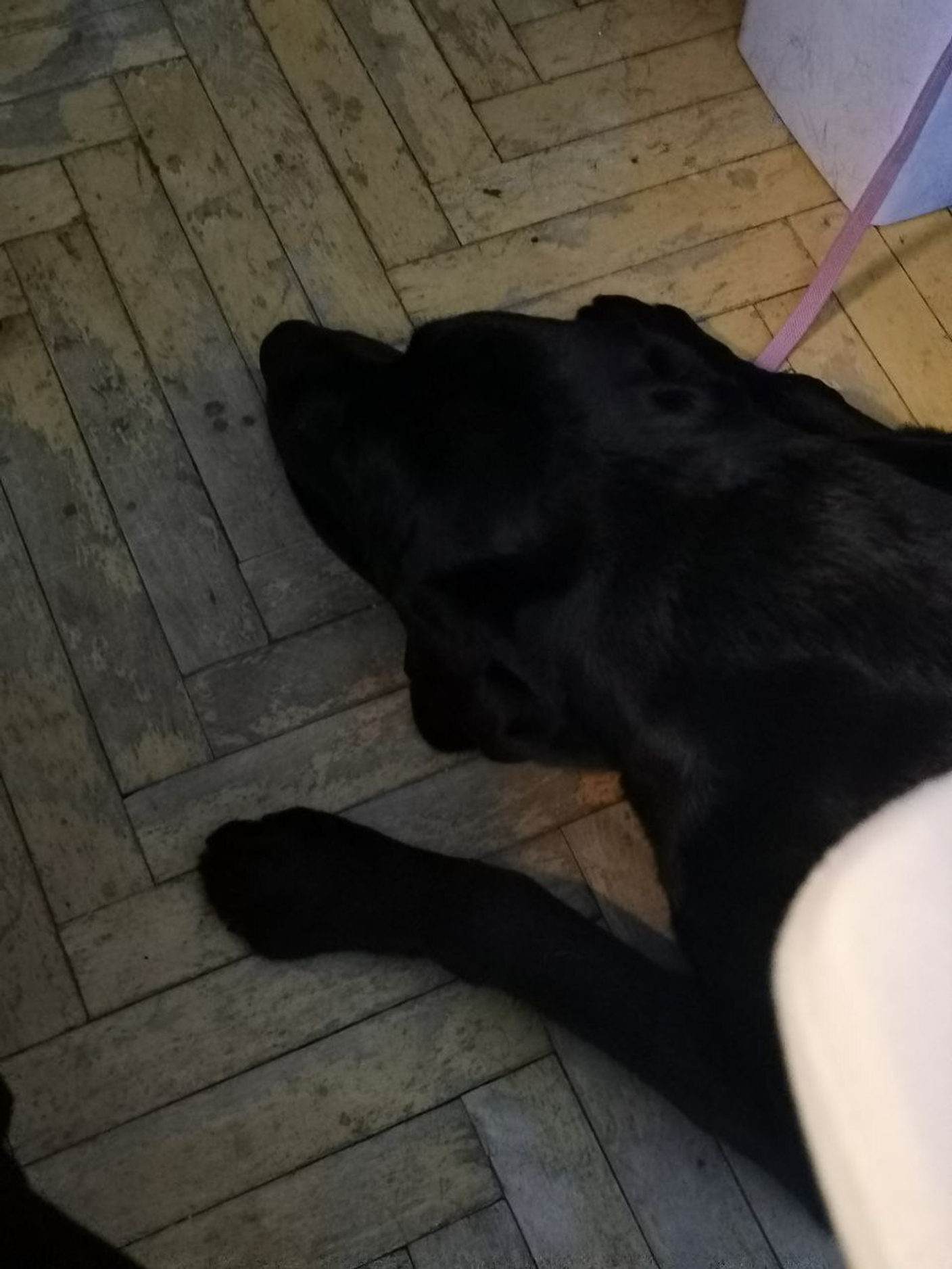 ого!