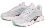 Кроссовки Adidas Duramo 9 (Женская размерная сетка)