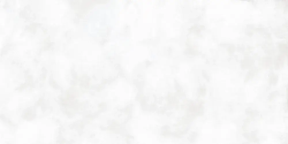 Керамогранит Alma Ceramica GFA114SUL00R Soul 114x57 белый матовый под камень