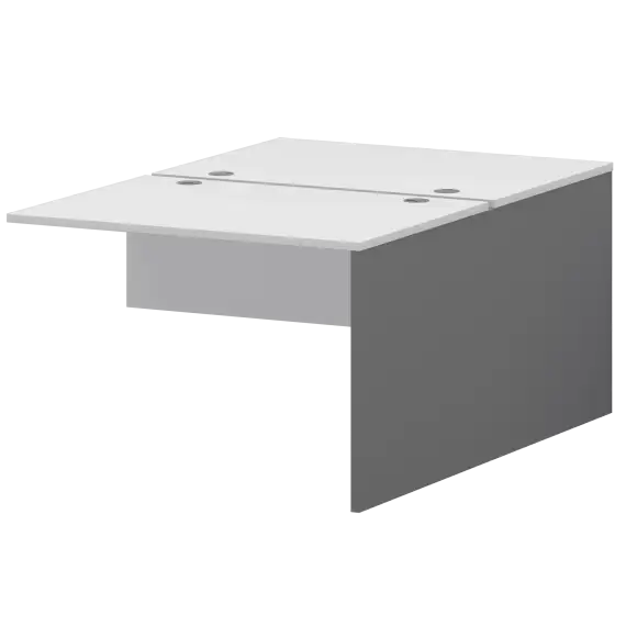 Модуль двойной Тип1 СМСН25-2.10.73  1000x1496x750 Смарт