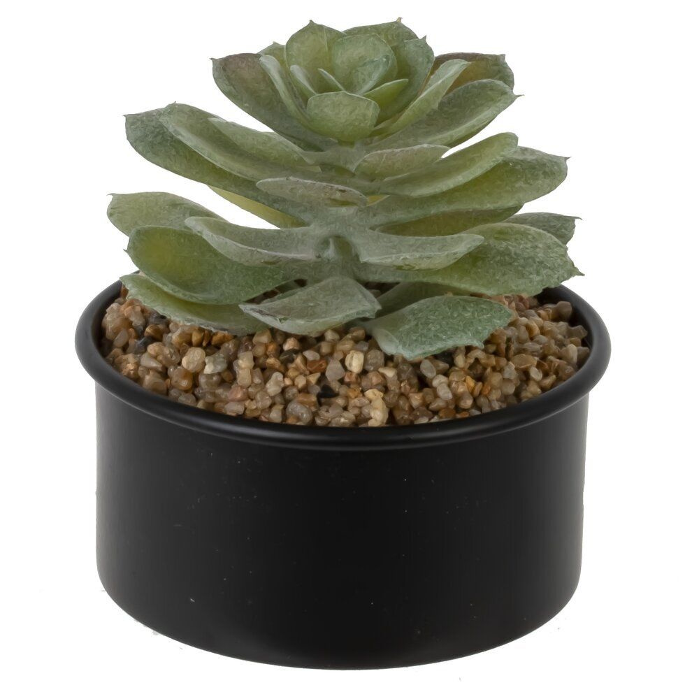 GAEM Цветочная композиция "Суккулент", L10 W10 H12 см