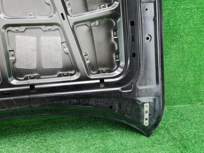 Капот Hongqi H9 (2020-н.в.)