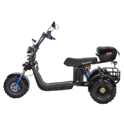Skyboard TRIKE BR40-3000 PRO FAST OFF-ROAD