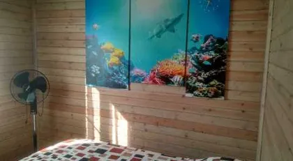 Сапожникова Ольга