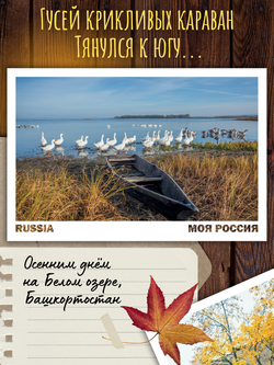 Моя Россия. Осень (выпуск №5, 2025)