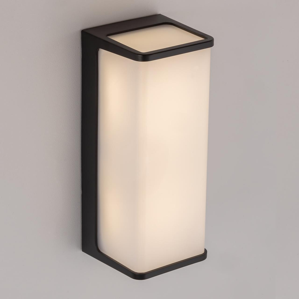 Уличный настенный светодиодный светильник Citilux Domus CLU0802