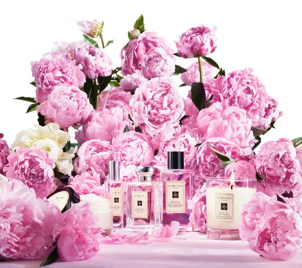Jo Malone London Peony and Blush Suede
