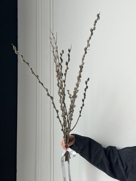 Пучок вербы под ленту