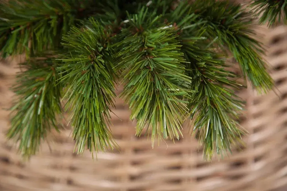 Сосна Триумф Норд стройная 185 см., микс (леска+пвх), Triumph Tree (73005)