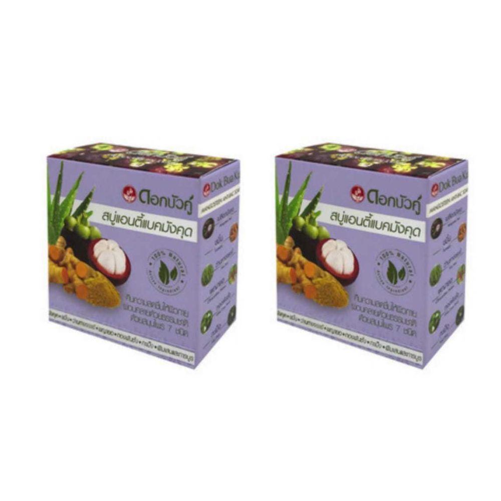 Мыло кусковое Twin Lotus с травами и мангустином антибактериальное, 85 гр 2 уп