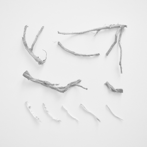 Richard Skelton - These Charms May Be Sung Over a Wound