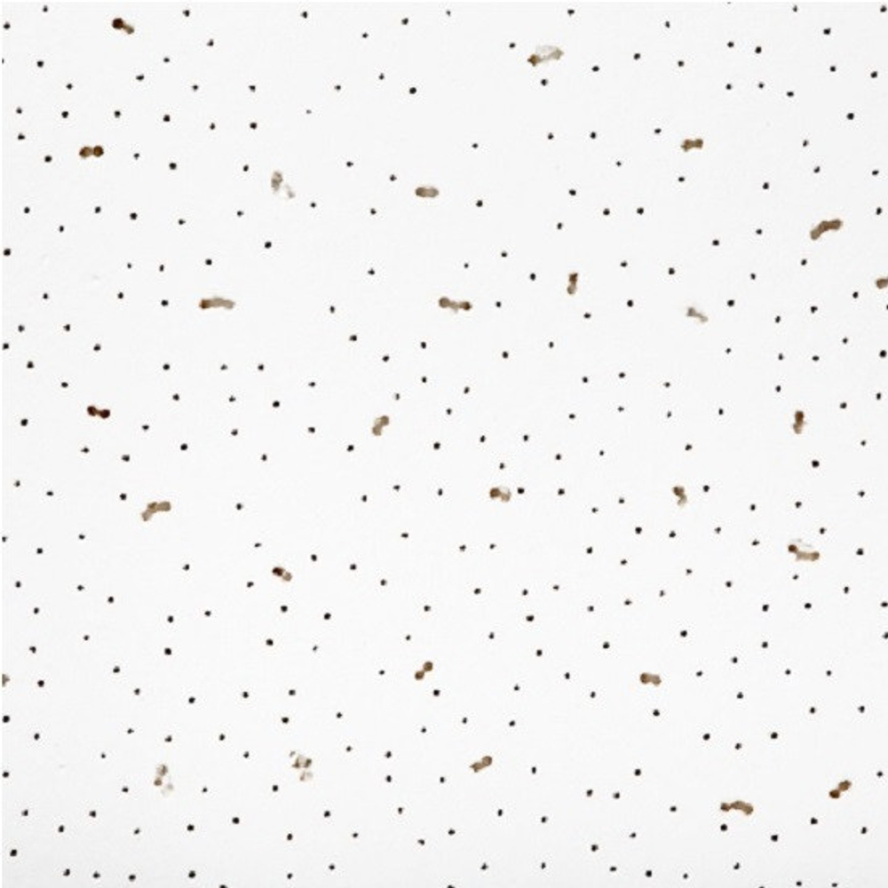 Плита потолочная Angara 600х600х7 мм