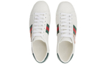 Doraemon X Gucci Ace (Женская размерная сетка)