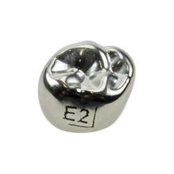 Второй верхний правый моляр, размер 2 (E-UR-2)