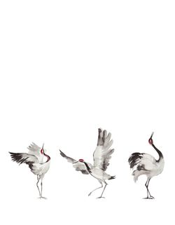 Crush Motion панно