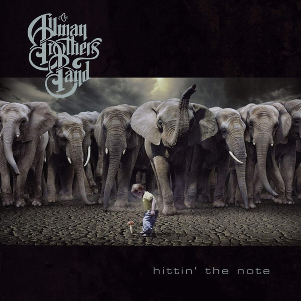 The Allman Brothers Band / Hittin' The Note (2LP)