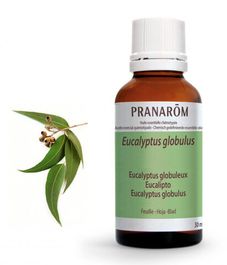 Натуральное эфирное масло Эвкалипт шаровидный, Pranarom