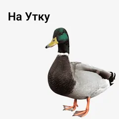 на Утку